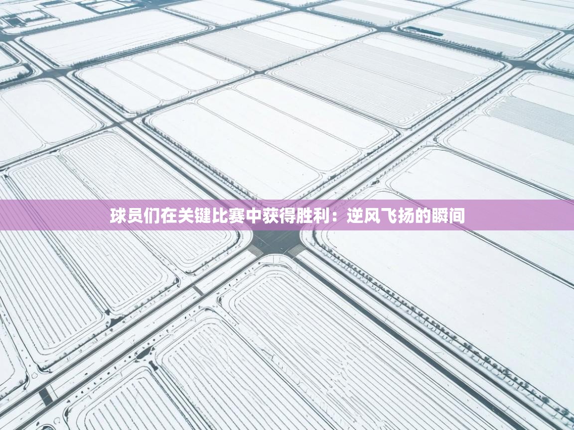 球员们在关键比赛中获得胜利：逆风飞扬的瞬间