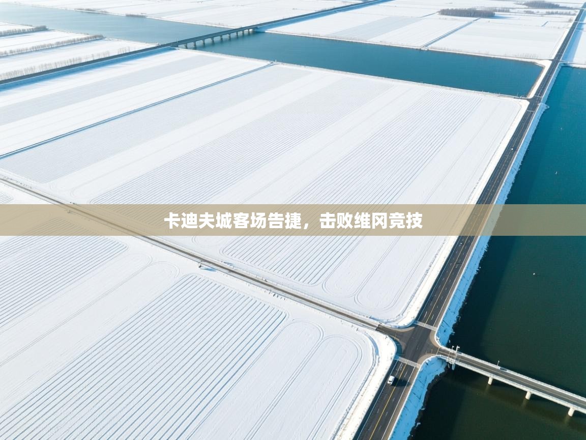 卡迪夫城客场告捷，击败维冈竞技